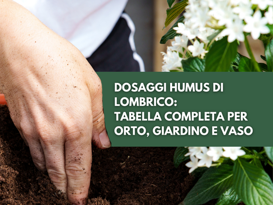 Dosaggi humus di lombrico