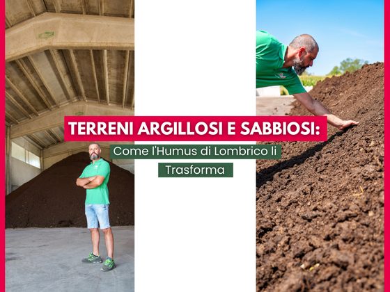 terreni argillosi e sabbiosi