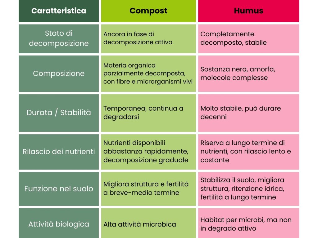 compost-e-humus-differenze-principali