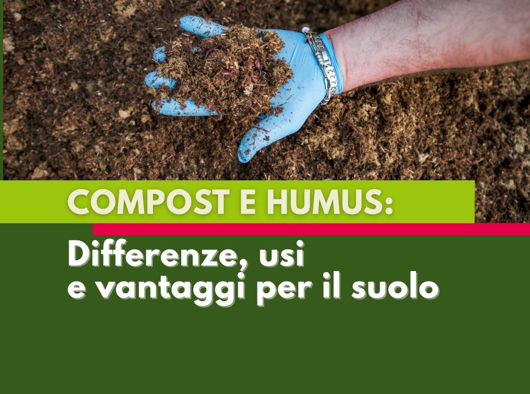 compost-humus-differenze-usi-vantaggi