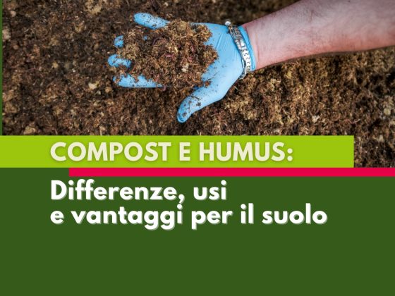 compost-humus-differenze-usi-vantaggi