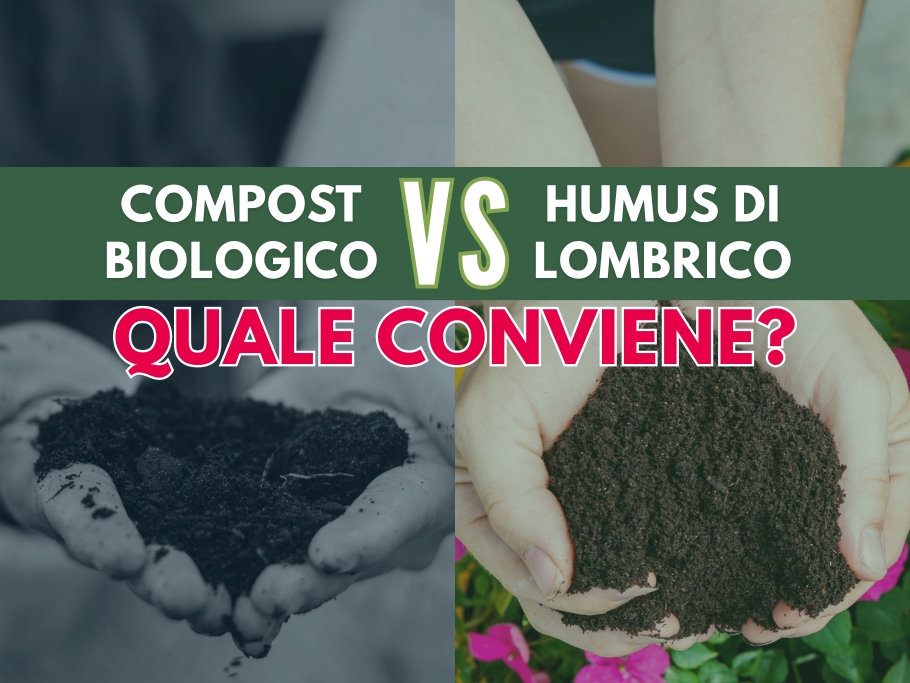 copost-biologico-vs-humus-lombrico