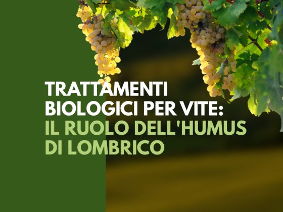 trattamenti-biologici-vite-humus-lombrico