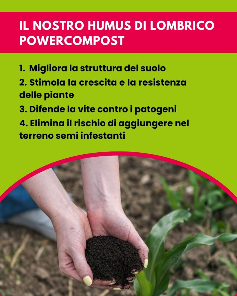 trattamenti-biologici-vite-vantaggi-humus-lombrico