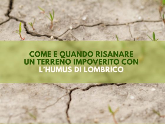 come-e-quando-risanare-terreno-impoverito-con-humus-lombrico