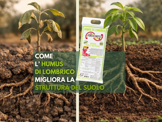 come-humus-lombrico-migliora-struttura-suolo