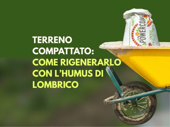 come-rigenerare-terreno-compattato-con-humus-lombrico