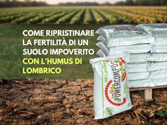 come-ripristinare-fertilità-suolo-impoverito-con-humus-lombrico