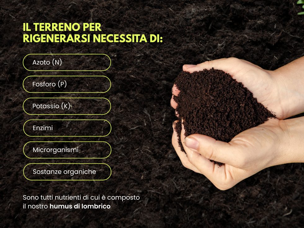 risanare-terreno-con-humus-lombrico