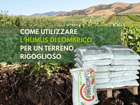 come-utilizzare-humus-lombrico-terreno-rigoglioso